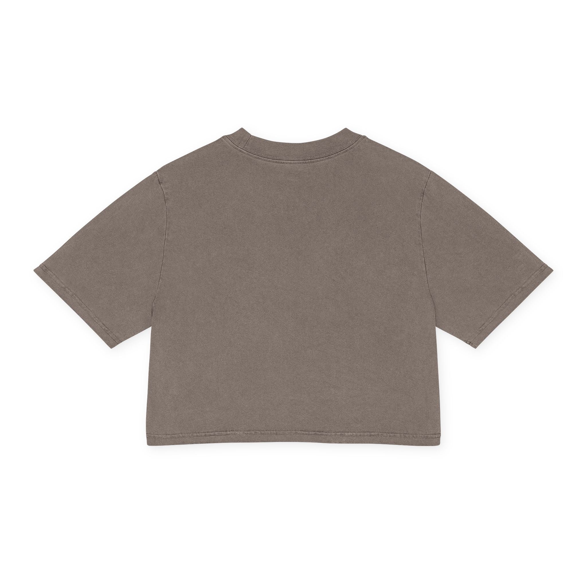 Women's Heavy Faded Crop Tee